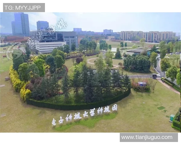 于德豪的成长之路与职业生涯探索：从青涩少年到行业领军人物的蜕变与奋斗